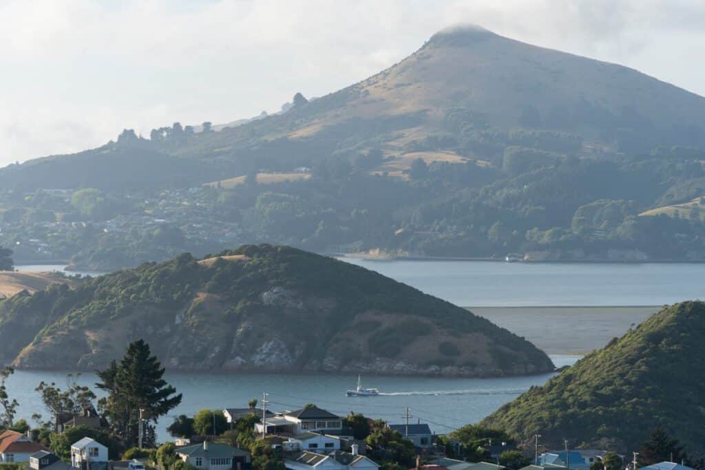 Coastal homes overlooking calm sea waters with a small boat and distant mountain, capturing the serene lifestyle of Dunedin.